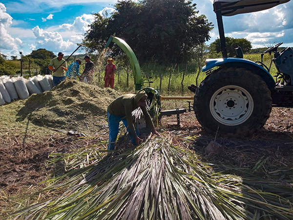 Programa de Silagem da Prefeitura de Mombaça apoia pequenos produtores rurais com serviços de maquinário