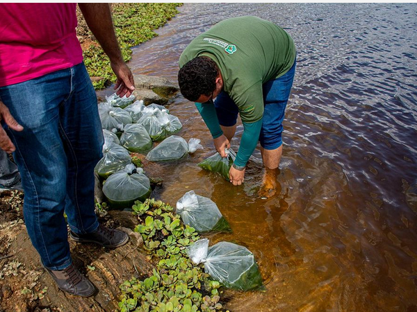 Peixamento: investindo no futuro da pesca!